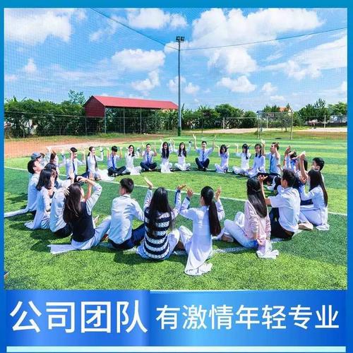 叠层贴片电感器270nH(R27) &plusmn;5% 体积0603 150mA VHF160808H18NJT